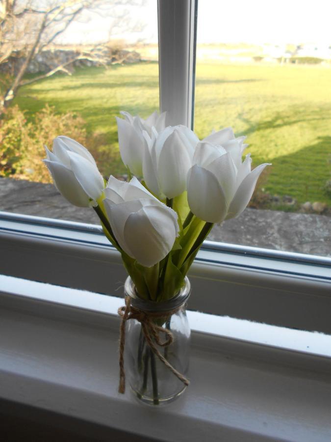 Hendre Clochydd Hall Llanaber Extérieur photo